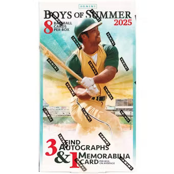 25 PANINI BOYS OF SUMMER BSE