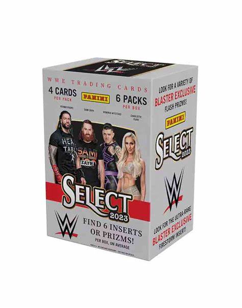 24 PANINI SELECT WWE BLASTER